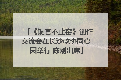 《铜官不止窑》创作交流会在长沙政协同心园举行 陈刚出席