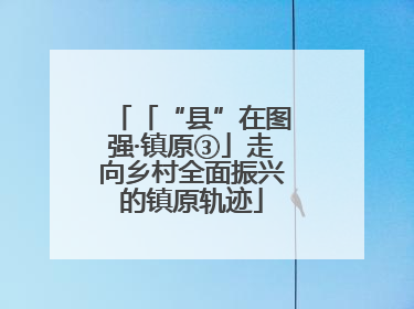 「“县”在图强·镇原③」走向乡村全面振兴的镇原轨迹