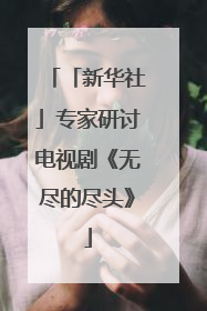 「新华社」专家研讨电视剧《无尽的尽头》