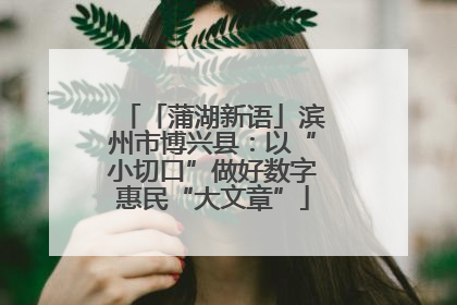 「蒲湖新语」滨州市博兴县：以“小切口”做好数字惠民“大文章”