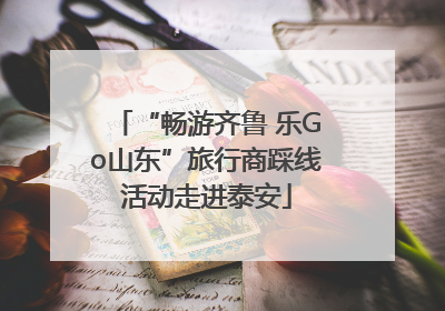 “畅游齐鲁 乐Go山东”旅行商踩线活动走进泰安