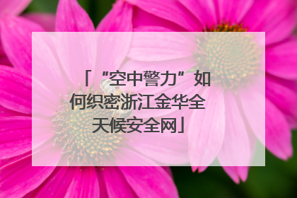 “空中警力”如何织密浙江金华全天候安全网
