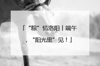 “粽”情洛阳丨端午，“阳光里”见！