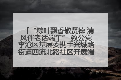 “粽叶飘香敬贤德 清风伴老话端午” 致公党李沧区基层委携手兴城路街道四流北路社区开展端午节主题活动
