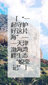 “一起守护好这片海”——天津渤海湾畔生态“蜕变记”