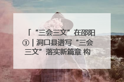 “三会三文”在邵阳③｜洞口县谱写“三会三文”落实新篇章 构建协同联动大格局