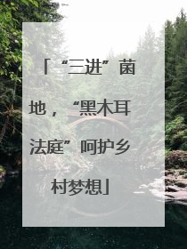 “三进”菌地，“黑木耳法庭”呵护乡村梦想