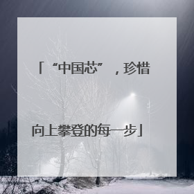 “中国芯”，珍惜向上攀登的每一步