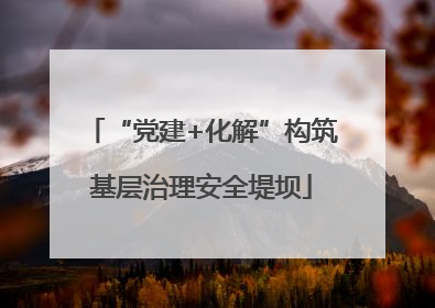 “党建+化解”构筑基层治理安全堤坝