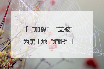 “加餐”“盖被” 为黑土地“增肥”