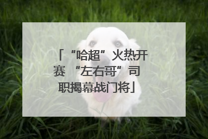 “哈超”火热开赛 “左右哥”司职揭幕战门将