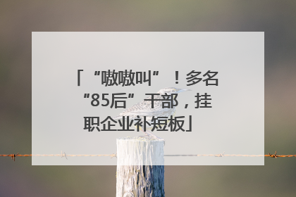 “嗷嗷叫”！多名“85后”干部，挂职企业补短板