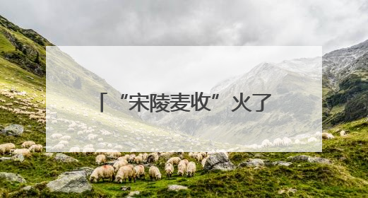 “宋陵麦收”火了！揭秘千年石刻与麦田如何共生→
