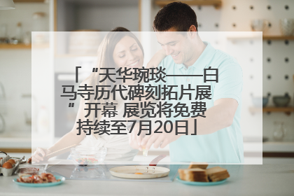 “天华琬琰——白马寺历代碑刻拓片展”开幕 展览将免费持续至7月20日