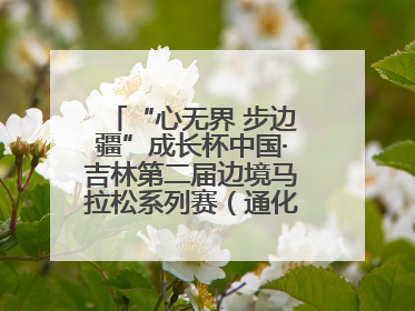 “心无界 步边疆”成长杯中国·吉林第二届边境马拉松系列赛（通化站）开赛