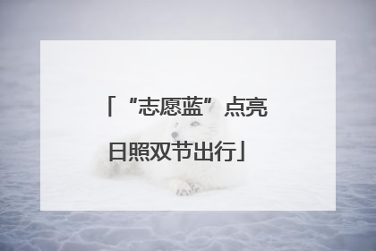 “志愿蓝”点亮日照双节出行