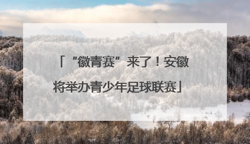 “徽青赛”来了！安徽将举办青少年足球联赛