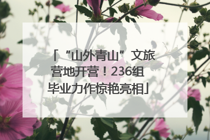 “山外青山”文旅营地开营！236组毕业力作惊艳亮相