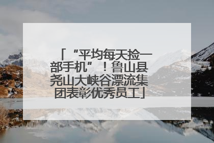 “平均每天捡一部手机”！鲁山县尧山大峡谷漂流集团表彰优秀员工