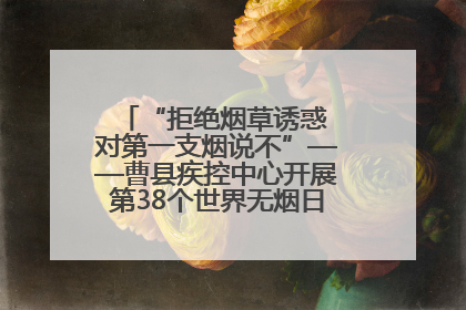 “拒绝烟草诱惑 对第一支烟说不”——曹县疾控中心开展第38个世界无烟日科普宣传活动