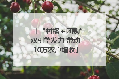 “村播＋团购”双引擎发力 带动10万农户增收