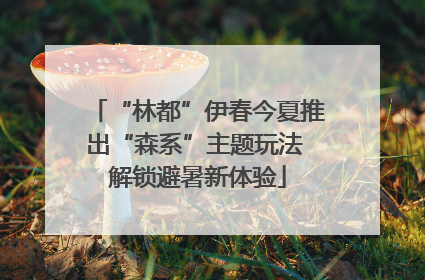 “林都”伊春今夏推出“森系”主题玩法 解锁避暑新体验
