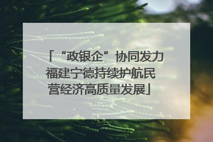 “政银企”协同发力 福建宁德持续护航民营经济高质量发展