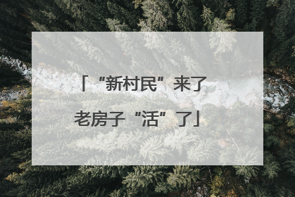 “新村民”来了 老房子“活”了