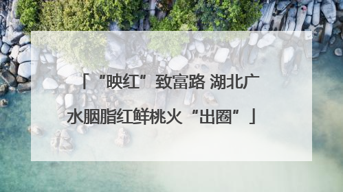 “映红”致富路 湖北广水胭脂红鲜桃火“出圈”