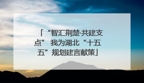 “智汇荆楚·共建支点” 我为湖北“十五五”规划建言献策