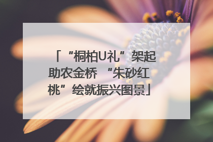 “桐柏U礼”架起助农金桥 “朱砂红桃”绘就振兴图景