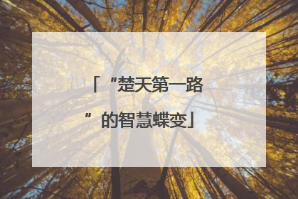 “楚天第一路”的智慧蝶变