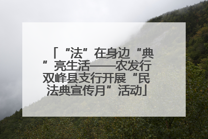 “法”在身边“典”亮生活——农发行双峰县支行开展“民法典宣传月”活动