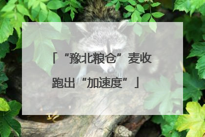 “豫北粮仓”麦收跑出“加速度”