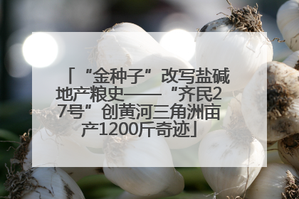 “金种子”改写盐碱地产粮史——“齐民27号”创黄河三角洲亩产1200斤奇迹