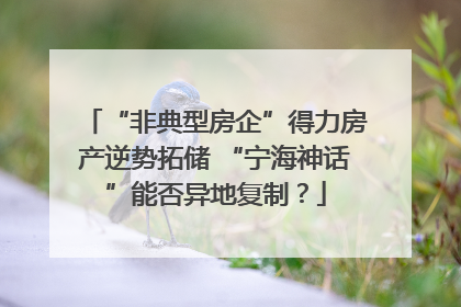 “非典型房企”得力房产逆势拓储 “宁海神话”能否异地复制？