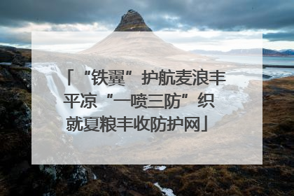 “铁翼”护航麦浪丰 平凉“一喷三防”织就夏粮丰收防护网