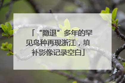 “隐退”多年的罕见鸟种再现浙江，填补影像记录空白