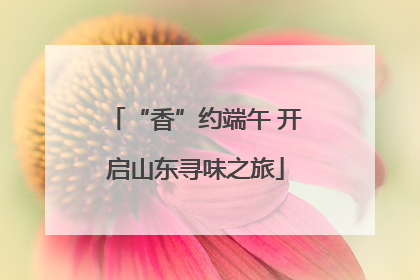 “香”约端午 开启山东寻味之旅