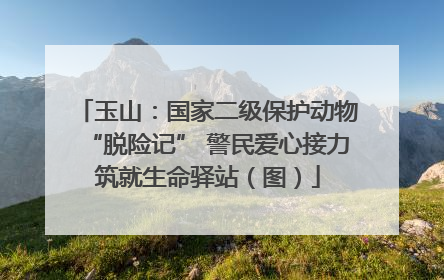 玉山：国家二级保护动物“脱险记” 警民爱心接力筑就生命驿站（图）
