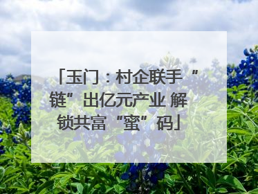 玉门：村企联手“链”出亿元产业 解锁共富“蜜”码