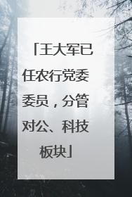 王大军已任农行党委委员，分管对公、科技板块