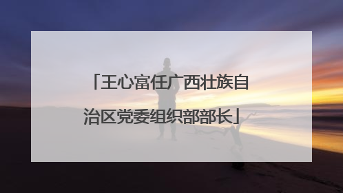 王心富任广西壮族自治区党委组织部部长