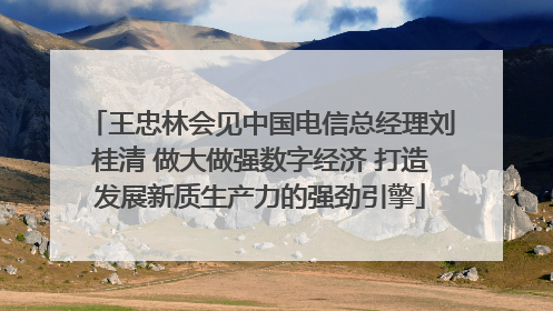 王忠林会见中国电信总经理刘桂清 做大做强数字经济 打造发展新质生产力的强劲引擎