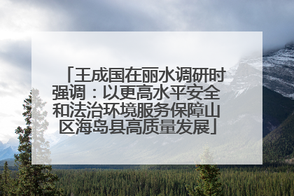 王成国在丽水调研时强调：以更高水平安全和法治环境服务保障山区海岛县高质量发展