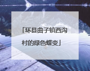 环县曲子镇西沟村的绿色蝶变