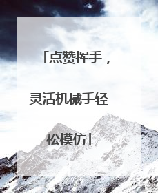 点赞挥手，灵活机械手轻松模仿