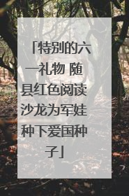 特别的六一礼物 随县红色阅读沙龙为军娃种下爱国种子