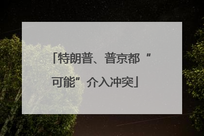 特朗普、普京都“可能”介入冲突