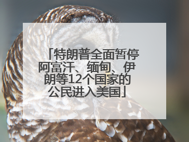 特朗普全面暂停阿富汗、缅甸、伊朗等12个国家的公民进入美国
